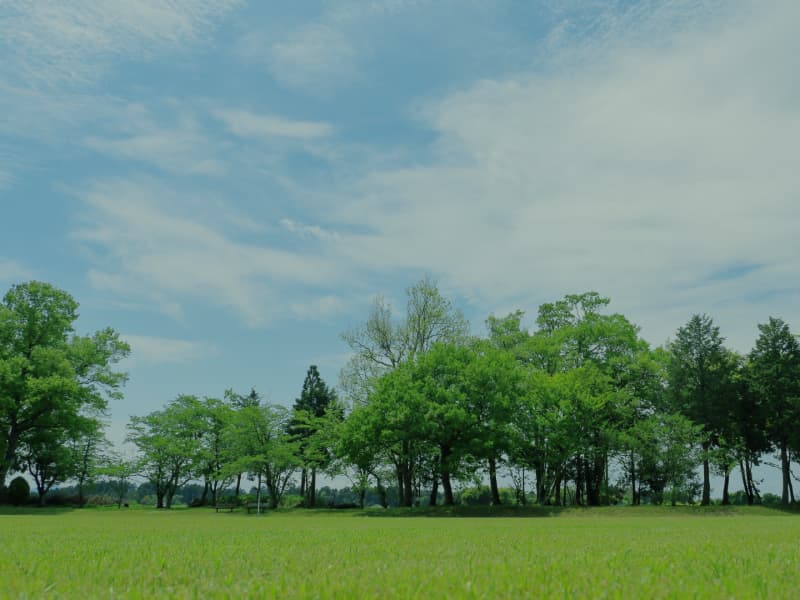 土地・物件販売